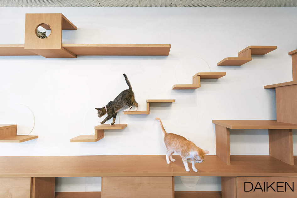 壁のリフォームでねこステップ。高いところが大好きな猫のためにアスレチックに大改造。 ペット専門リフォーム会社